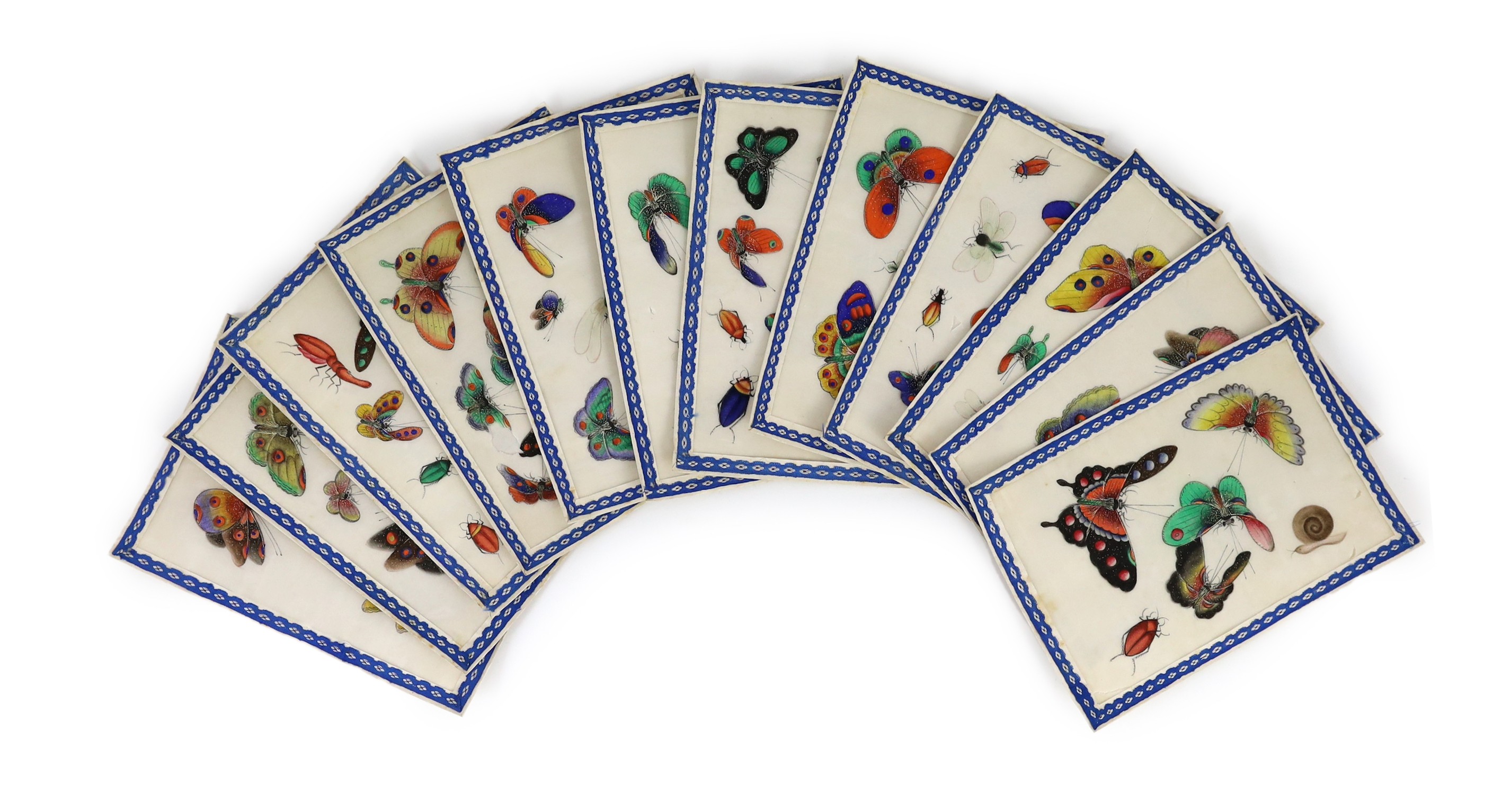 A set of twelve Chinese pith paintings of butterflies and insects, mid 19th century, total size 18cm x 12.2cm, small holes to paper